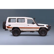 Decal Body Stripe Kit (Renmark Type-2) - 75 Series (1985–1999)